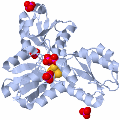 Image Biological Unit 1