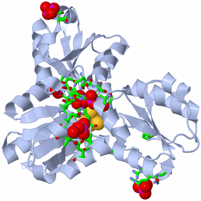 Image Biol. Unit 1 - sites