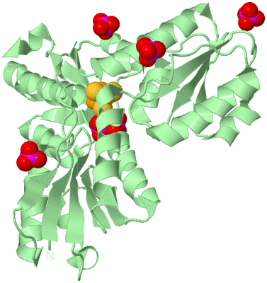 Image Biological Unit 2