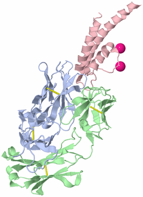 Image Biological Unit 1