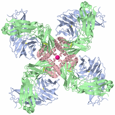 Image Biological Unit 2