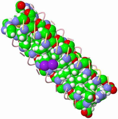 Image Biological Unit 2