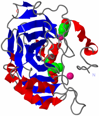 Image Asym./Biol. Unit