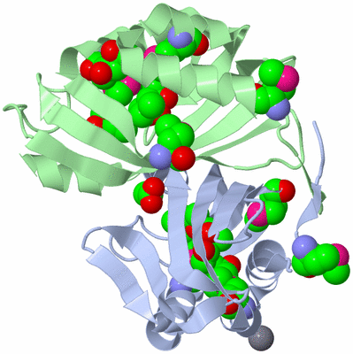 Image Asym./Biol. Unit