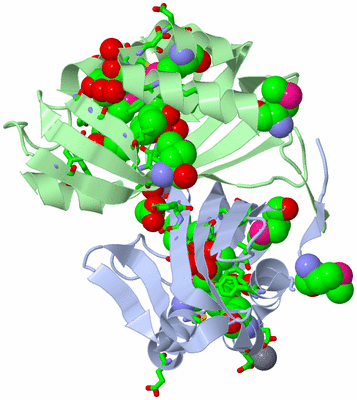 Image Asym./Biol. Unit - sites