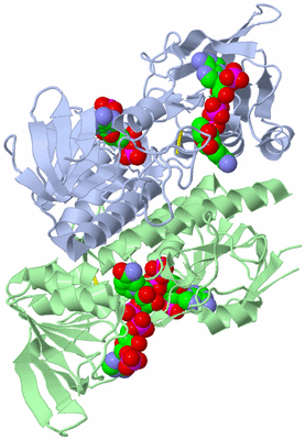 Image Biological Unit 1