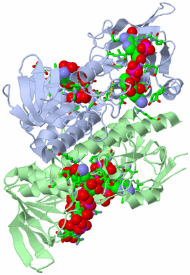 Image Biol. Unit 1 - sites