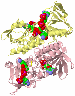 Image Biological Unit 2