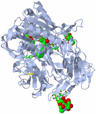 Image Biol. Unit 1 - sites