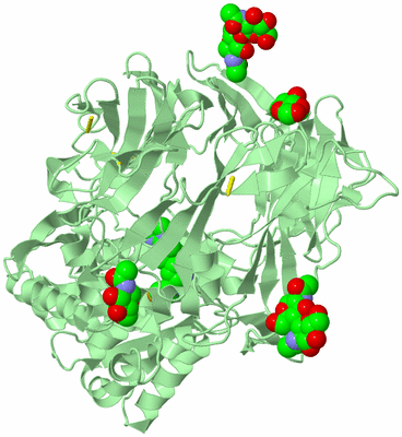 Image Biological Unit 2