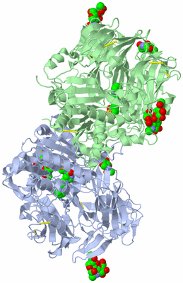 Image Biological Unit 3