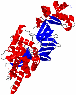 Image Asym./Biol. Unit