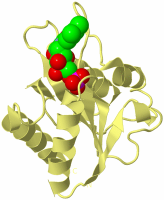 Image Biological Unit 3