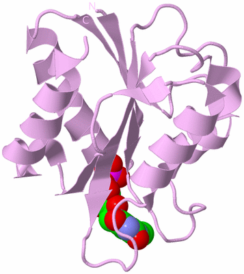 Image Biological Unit 4