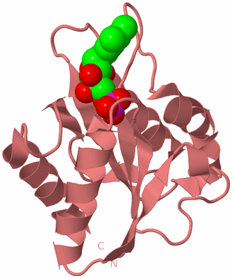 Image Biological Unit 6