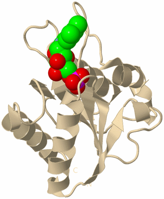 Image Biological Unit 7