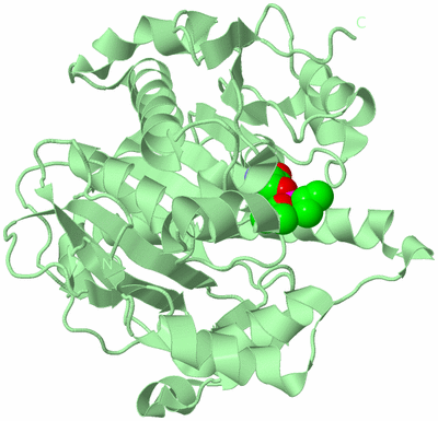 Image Biological Unit 2