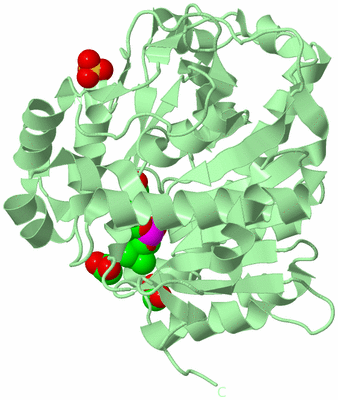 Image Biological Unit 2