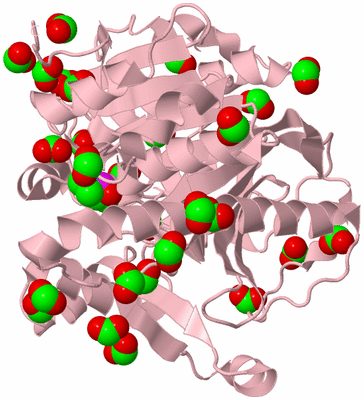 Image Biological Unit 3