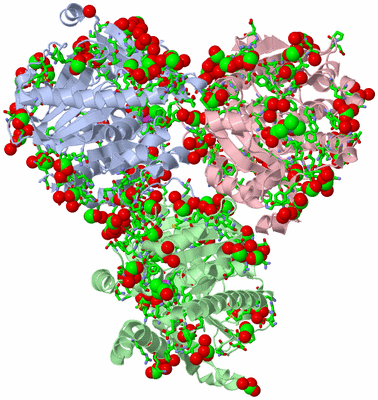 Image Asym. Unit - sites