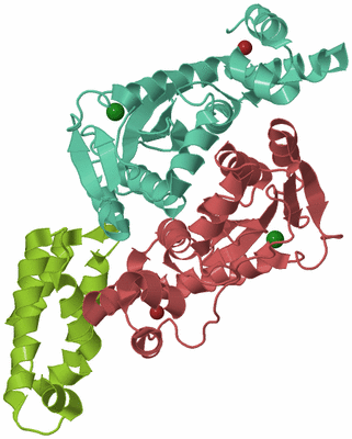 Image Biological Unit 10