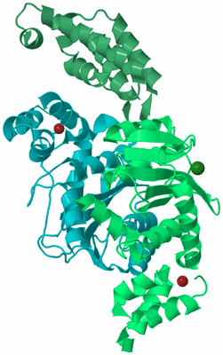 Image Biological Unit 11