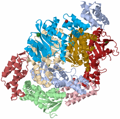 Image Biological Unit 14