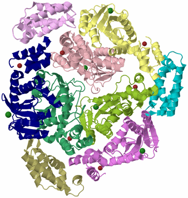 Image Biological Unit 16