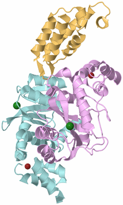 Image Biological Unit 2