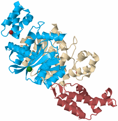 Image Biological Unit 3