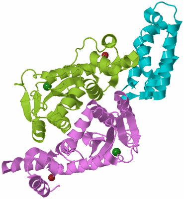 Image Biological Unit 4