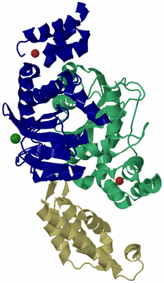 Image Biological Unit 5