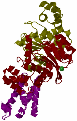 Image Biological Unit 6