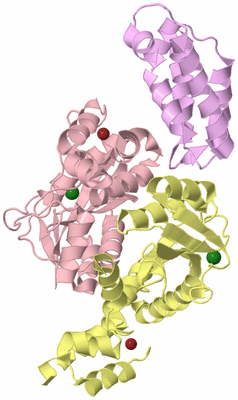 Image Biological Unit 8