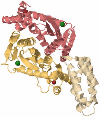 Image Biological Unit 9