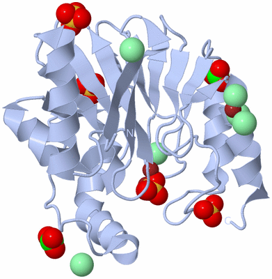 Image Biological Unit 1