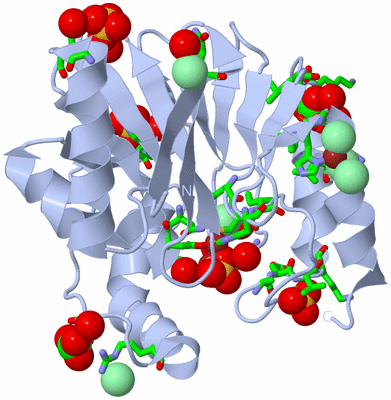 Image Biol. Unit 1 - sites