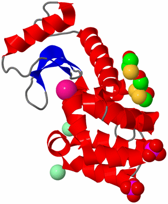 Image Asym./Biol. Unit