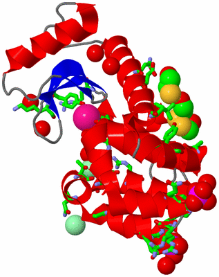 Image Asym./Biol. Unit - sites