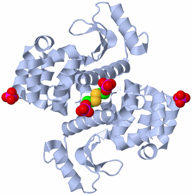 Image Biological Unit 2