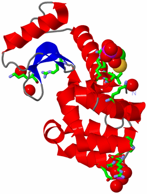 Image Asym. Unit - sites