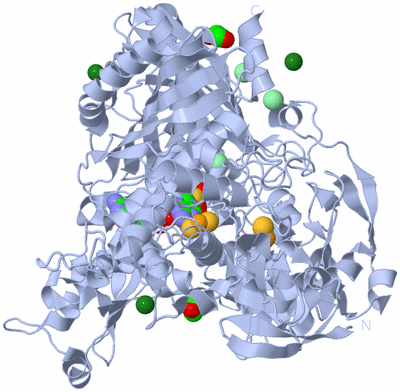 Image Biological Unit 1