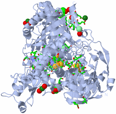 Image Biol. Unit 1 - sites