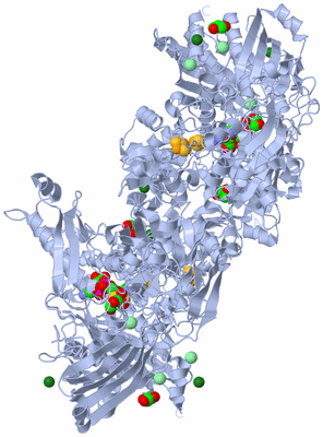 Image Biological Unit 2