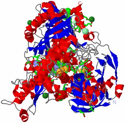 Image Asym. Unit - sites