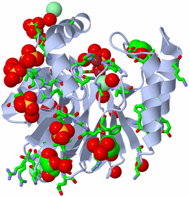 Image Biol. Unit 1 - sites