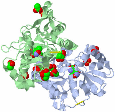 Image Biological Unit 1