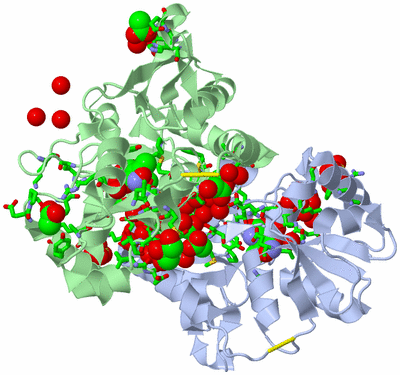 Image Biol. Unit 1 - sites