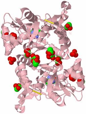 Image Biological Unit 2