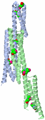 Image Asymmetric Unit